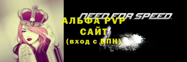 Альфа ПВП Богородицк
