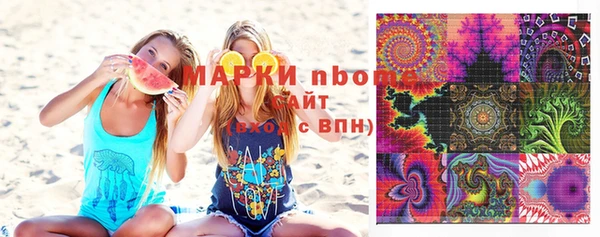 МДПВ Бородино