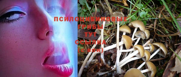 СК Богданович