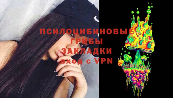 МДПВ Бородино